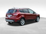 Used 2014 Ford Escape Titanium image 5