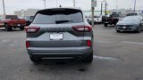 Used 2024 Ford Escape ST-Line image 4