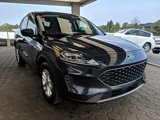 Certified 2022 Ford Escape SE w/ Convenience Package image 3