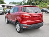 Used 2019 Ford EcoSport SE w/ Interior Protection Package image 2