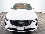 Certified 2023 Cadillac CT4 Premium Luxury image 2