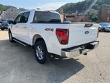 New 2024 Ford F150 XLT image 3