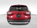 Used 2021 Ford Escape Titanium image 4