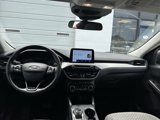 Used 2022 Ford Escape SE w/ Convenience Package image 3