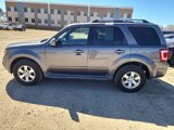 Used 2010 Ford Escape Limited image 2