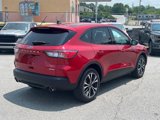 Certified 2022 Ford Escape SE w/ SE Sport Appearance Package image 3
