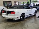 Used 2015 Ford Mustang Convertible w/ Equipment Group 051A image 4