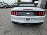 Used 2022 Ford Mustang Premium image 4