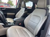 Used 2020 Ford Escape Titanium image 4