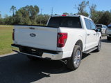 New 2024 Ford F150 XLT w/ Equipment Group 303A High image 3