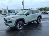 Used 2019 Toyota RAV4 Adventure image 3