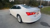 Certified 2023 Chevrolet Malibu LT image 6