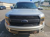 Used 2013 Ford F150 Platinum image 2