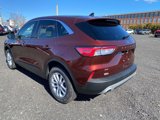 Used 2021 Ford Escape SE image 3