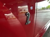 Used 1999 Ford Mustang Cobra image 4