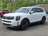 Used 2021 Kia Telluride SX w/ SX Prestige Package image 3
