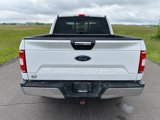 Used 2019 Ford F150 XLT w/ Equipment Group 302A Luxury image 6