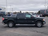 Used 2013 Ford F150 XLT w/ Luxury Equipment Group image 2