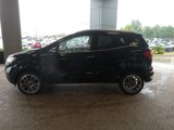 Used 2021 Ford EcoSport Titanium image 6