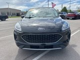 Certified 2022 Ford Escape SE w/ Convenience Package image 5