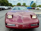 Used 1993 Chevrolet Corvette Convertible image 3