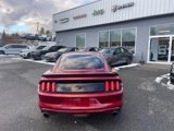 Used 2016 Ford Mustang Coupe w/ Ecoboost Performance Package image 4