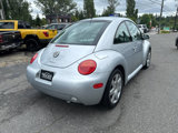 Used 2002 Volkswagen Beetle GLX image 5
