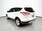 Used 2014 Ford Escape SE image 6