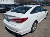 Used 2016 Hyundai Sonata SE image 3