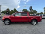 Used 2014 Ford F150 XLT w/ Equipment Group 302A Luxury image 4