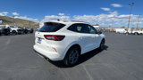 New 2024 Ford Escape ST-Line w/ Tech Pack #1 image 3