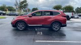 Used 2020 Honda CR-V EX image 4