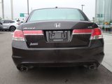 Used 2011 Honda Accord EX-L image 4