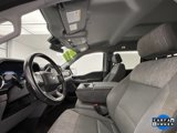 Used 2021 Ford F150 XLT w/ Equipment Group 301A Mid image 6