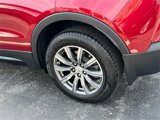 Used 2019 Cadillac XT4 Sport w/ Driver Awareness Package image 5