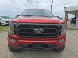 Used 2023 Ford F150 XLT w/ Equipment Group 302A High image 2