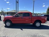 Used 2013 Ford F150 XLT w/ XLT Chrome Pkg image 2