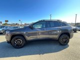 Used 2023 Jeep Cherokee Altitude Lux image 5