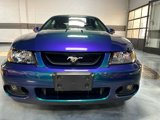 Used 2004 Ford Mustang Cobra image 5