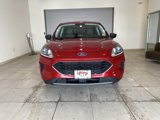 Used 2022 Ford Escape SE w/ Convenience Package image 2