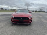 Used 2021 Ford Mustang Convertible w/ Equipment Group 101A image 2