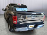 Used 2015 Ford F150 XLT w/ Equipment Group 302A Luxury image 3