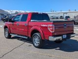 Used 2013 Ford F150 XLT w/ Luxury Equipment Group image 4