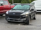 Used 2020 Ford Escape SE image 3