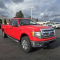 Used 2014 Ford F150 XLT w/ Equipment Group 302A Luxury image 4