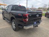 New 2024 Ford Ranger Lariat w/ FX4 Off-Road Package image 5