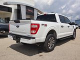 Used 2021 Ford F150 XL w/ STX Appearance Package image 3