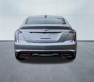 New 2024 Cadillac CT5 Sport w/ Parking Package image 4