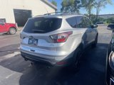 Used 2017 Ford Escape SE w/ Equipment Group 201A image 2