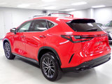 Used 2024 Lexus NX 350 AWD w/ Cold Area Package image 3